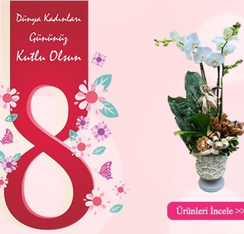 https://www.cicekbahcesi.com.tr/